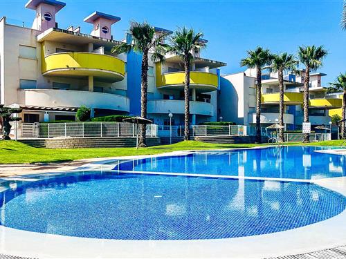 Ferielejlighed - 4 personer -  - C. Paquito el Chocolatero - Novogolf Villamartin Orihuela - 03189 - Villamartin
