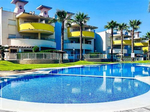 Ferieleilighet - 4 personer -  - C. Paquito el Chocolatero - Novogolf Villamartin Orihuela - 03189 - Villamartin