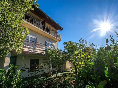 Holiday apartment - 3 persons -  - Velebitska ulica - 23244 - Starigrad