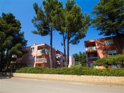 Semesterlägenhet - 4 personer -  - Novigrad (Istra) - 52466
