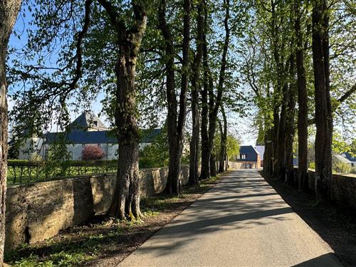 Ferienwohnung - 4 Personen -  - Hubertusstr. - 53949 - Dahlem / Schmidtheim