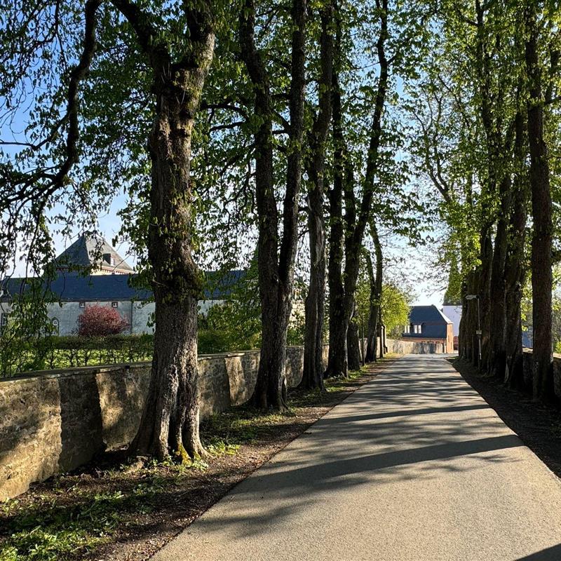 Ferielejlighed - 4 personer -  - Hubertusstr. - 53949 - Dahlem / Schmidtheim