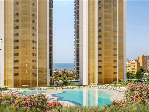 Ferienhaus - 2 Personen -  - Av. de Mejico - 03502 - Benidorm