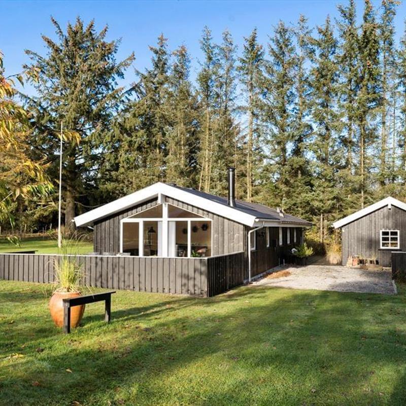 Ferienhaus - 6 Personen -  - Berberisvej - 9492 - Blokhus