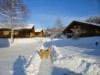 Bild 17