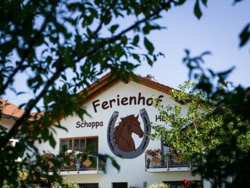 Bauernhof - 6 Personen -  - Haselberg - 94164 - Sonnen