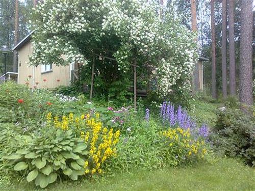 Feriehus / leilighet - 6 personer -  - Savonlinna - 58260