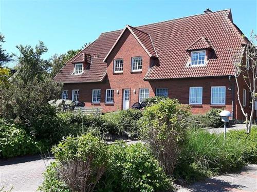 Ferieleilighet - 3 personer -  - Drei - 24960 - Glücksburg