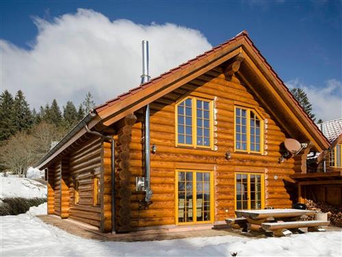 Holiday home - 14 persons -  - Falkau - 79868