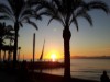 Bilde 36