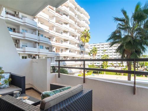 Sommerhus - 2 personer -  - Av. Pere Mas i Reus - 07400 - Alcudia