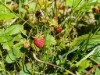 Bild 11 - Aussen