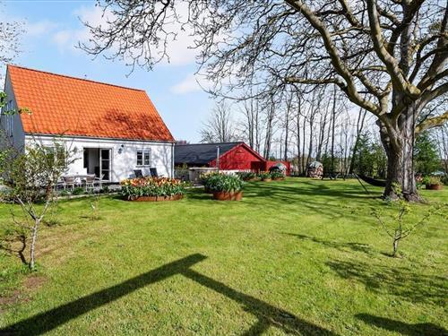 Ferienhaus - 6 Personen -  - Over Lyngen - Stavreby - 4720 - Prästö