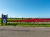 Bild 17