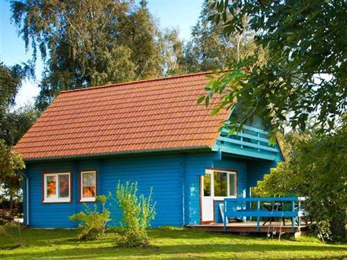 Holiday home - 4 persons -  - Terrasse, Balkon, Kaminofen - 18317 - Saal / Neuendorf Heide