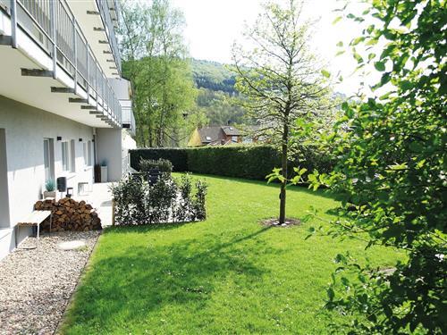 Ferienhaus - 5 Personen -  - 54669 - Bollendorf