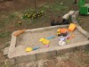 Image 15