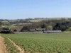 Image 14