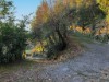 Bild 28 - Ude