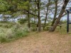 Billede 16 - Grund