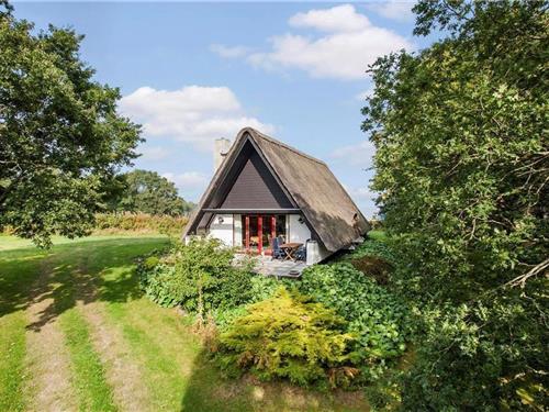 Ferienhaus - 6 Personen -  - Sommerlandsvej - Baaring Ege - 5466 - Asperup