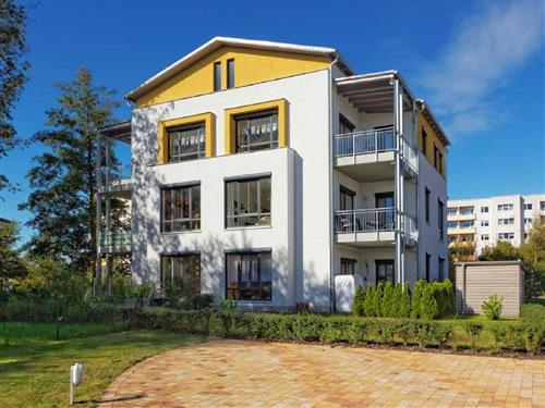 Holiday apartment - 5 persons -  - Am Erlengrund - 17454 - Zinnowitz