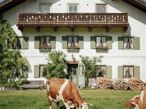 Bauernhof - 4 Personen -  - Untere Dorfstraße - 82442 - Saulgrub-Altenau