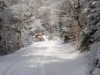 Bild 31