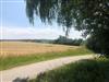 Bild 42
