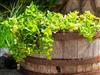 Billede 13