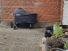 Bild 18