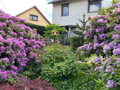 Ferieleilighet - 4 personer -  - 99880 - Waltershausen