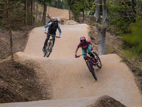 Ferieleilighet - 4 personer -  - Am Tiefenbach - 94252 - Bayerisch Eisenstein