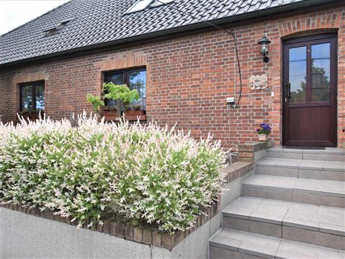 Ferienwohnung - 5 Personen -  - Buschlingsberg - 18239 - Satow / Gerdshagen