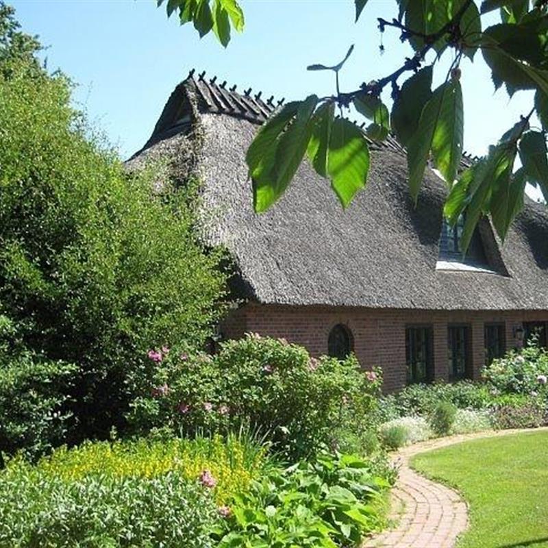 Sommerhus - 4 personer -  - Babbestraße - 24405 - Mohrkirch