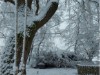 Bilde 6