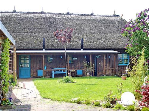 Sommerhus - 6 personer -  - Historisches Bauernhaus, Familienfreundlich - 18317 - Saal / Neuendorf Heide
