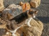 Bild 18