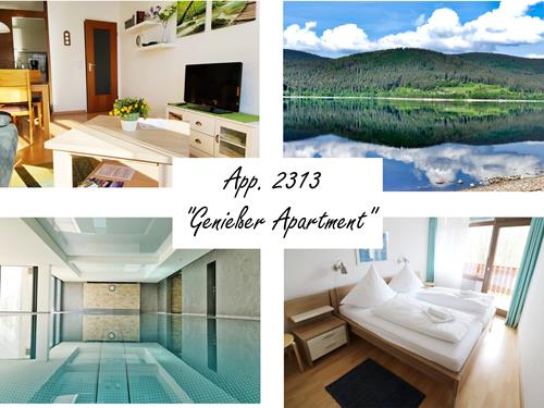 Ferieleilighet - 3 personer -  - Am Riesenbühl - 79859 - Schluchsee