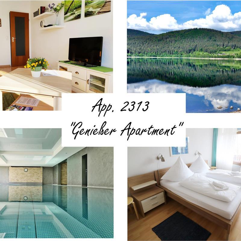 Ferielejlighed - 3 personer -  - Am Riesenbühl - 79859 - Schluchsee