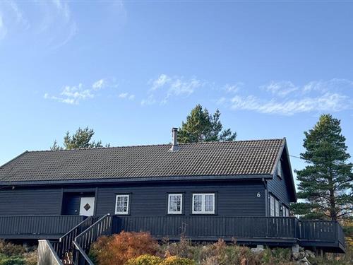 Sommerhus - 10 personer -  - Ringdalsveien - 4580 - Lyngdal