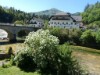 Bilde 3