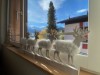 Image 11 - Outside