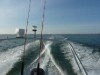 Billede 27