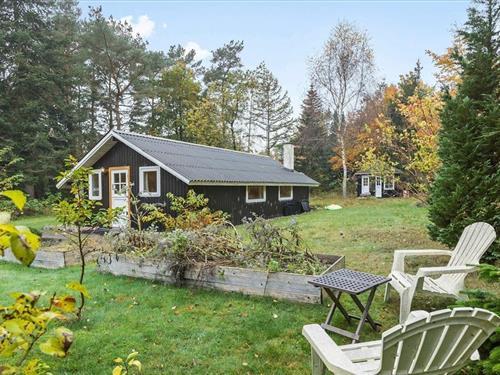 Ferienhaus - 5 Personen -  - Dådyrvej - Thorsager - 8410 - Rönde