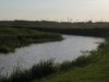 Image 36