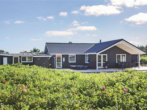 Sommerhus - 12 personer -  - Spovevej - Agger - 7770 - Vestervig