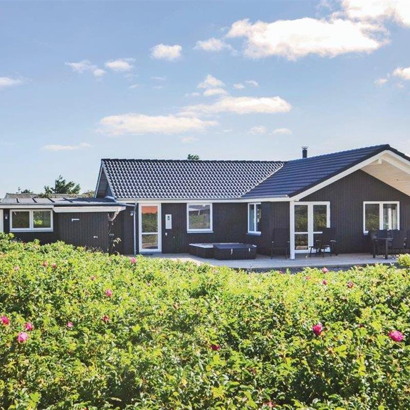 Sommerhus - 12 personer -  - Spovevej - Agger - 7770 - Vestervig