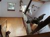 Bild 22