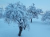 Bild 11 - Ude